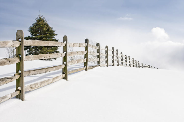 Fences Ideal for Winter
